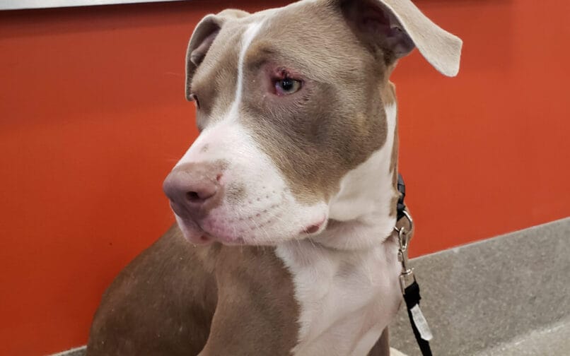 The power of happiness